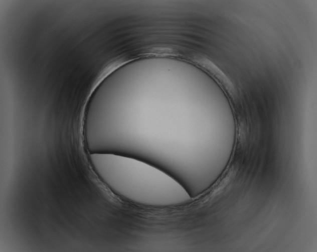 X0000088151378200705141043