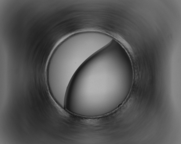 X0000088151380200705141043