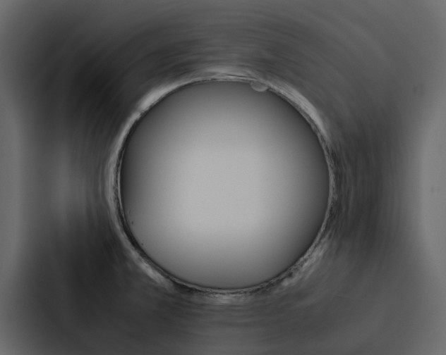 X0000088151381200705141043