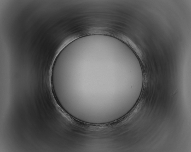 X0000088151386200705141043