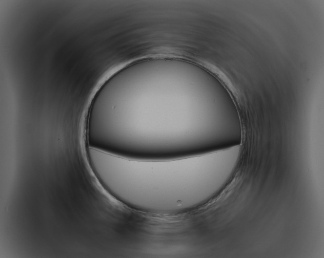 X0000088151387200705141043