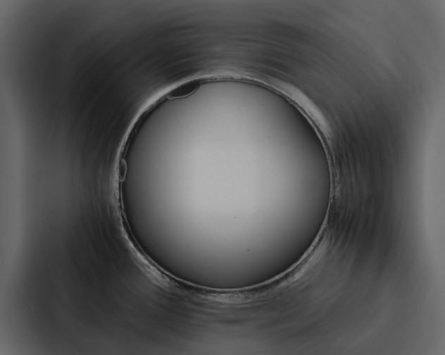 X0000088151388200705141043