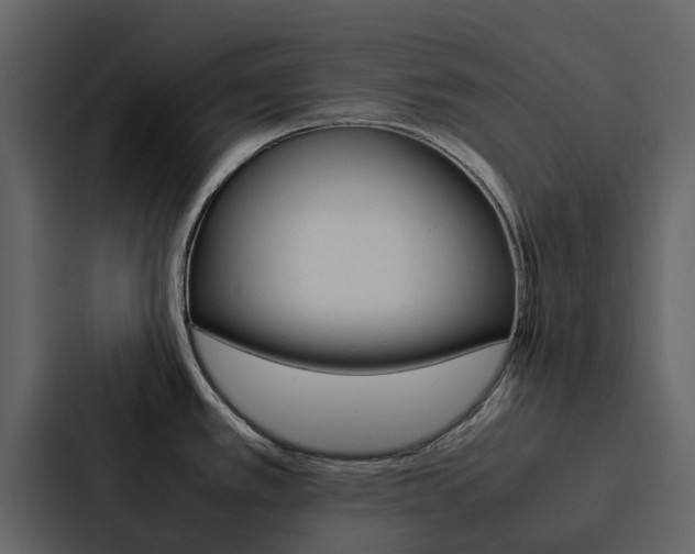 X0000088151389200705141043