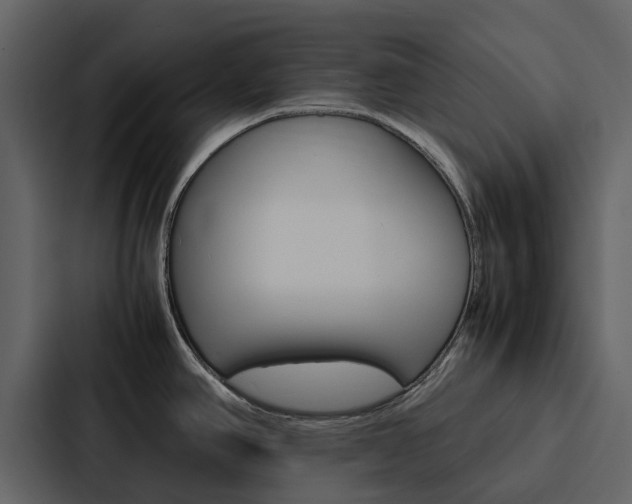 X0000088151390200705141043
