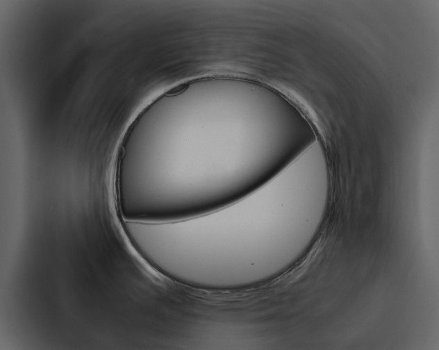 X0000088151391200705141043