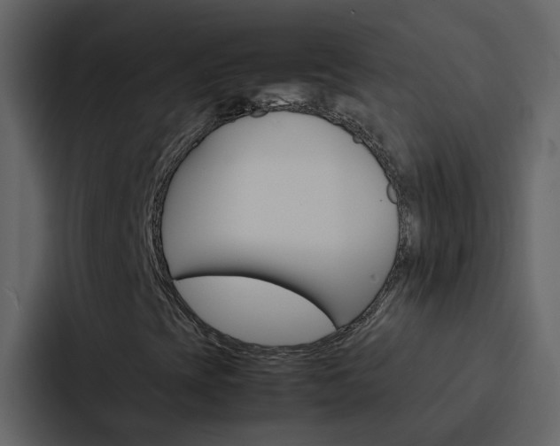 X0000088151393200705141042