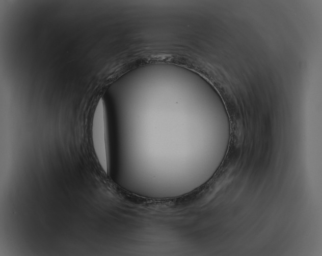 X0000088151394200705141042