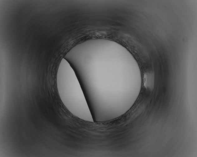 X0000088151395200705141042