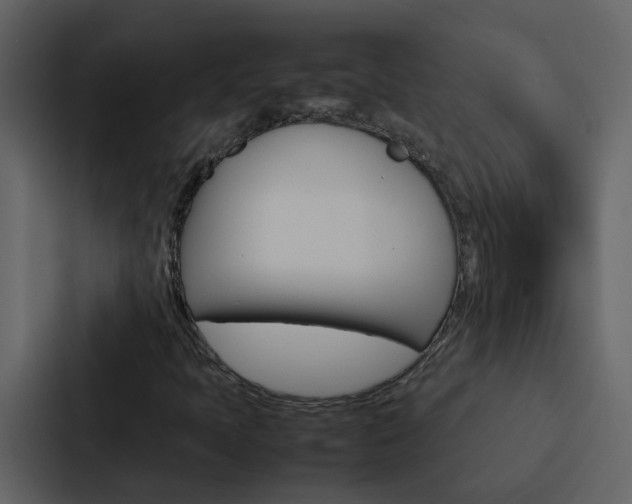 X0000088151397200705141042