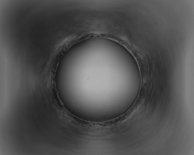 X0000088151398200705141042