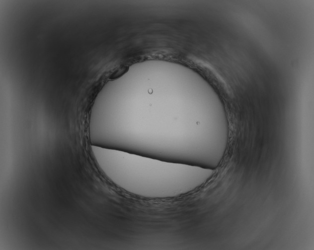 X0000088151399200705141042