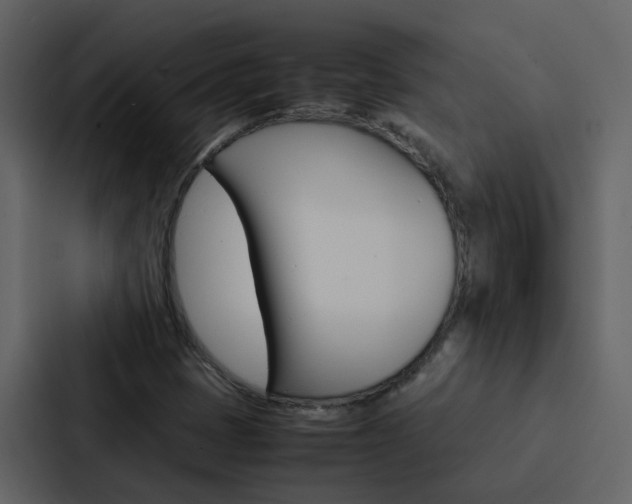 X0000088151401200705141042