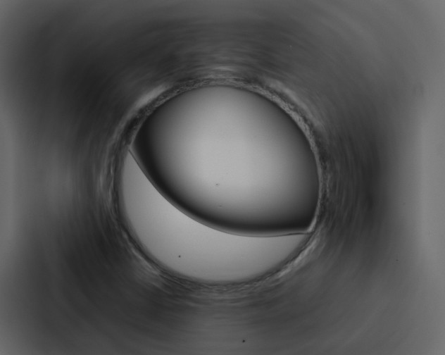 X0000088151402200705141042