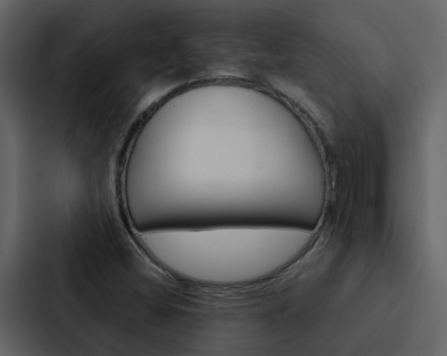 X0000088151404200705141042