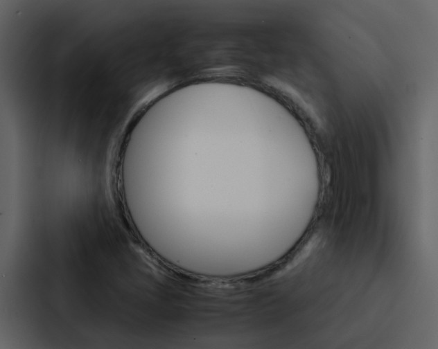 X0000088151405200705141042