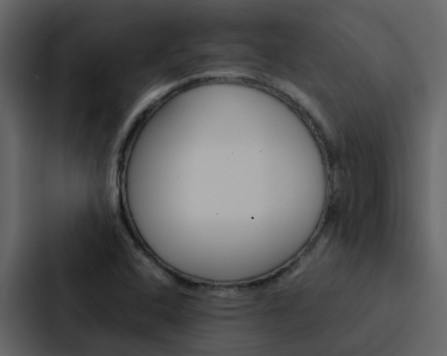 X0000088151408200705141042
