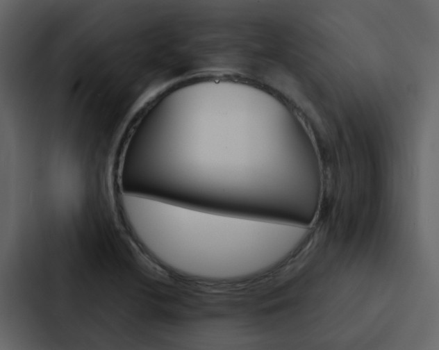 X0000088151412200705141042