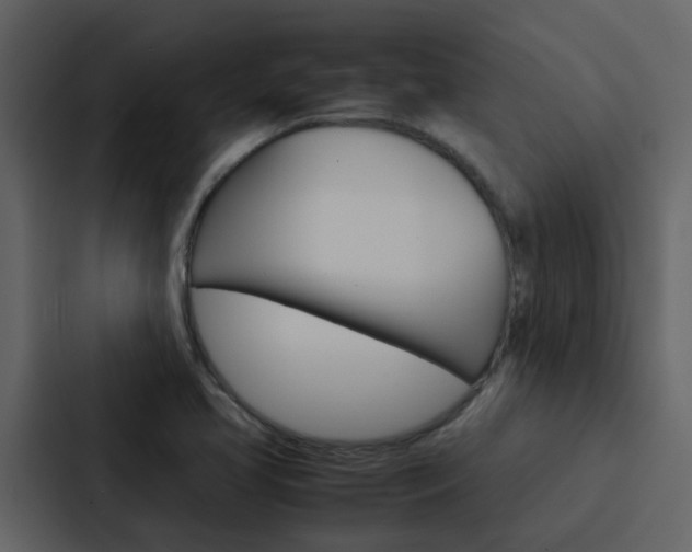 X0000088151413200705141042