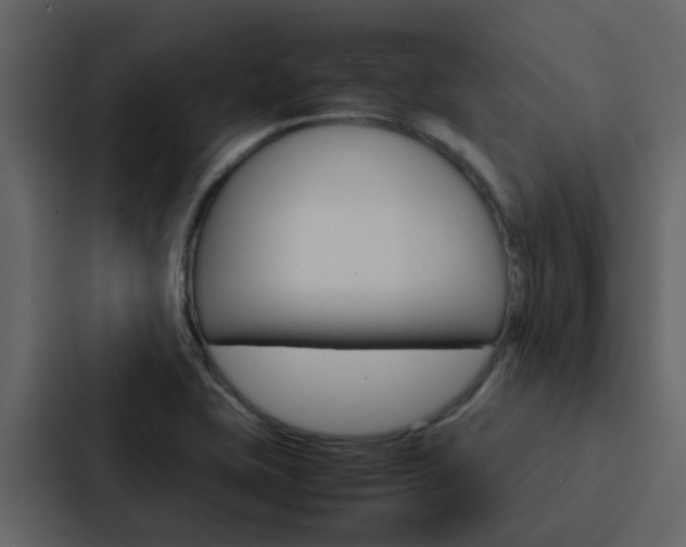 X0000088151415200705141042