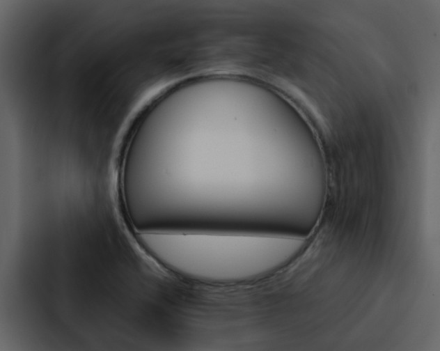 X0000088151416200705141042