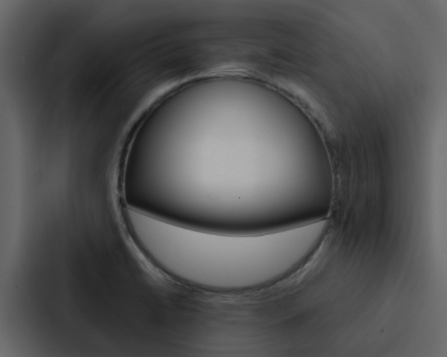 X0000088151422200705141042