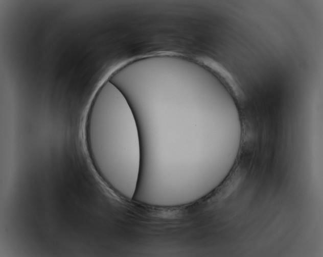 X0000088151423200705141042