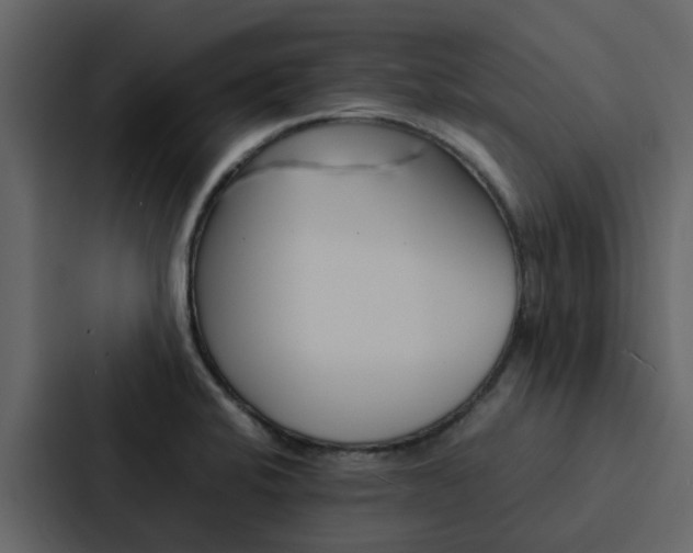 X0000088151424200705141042