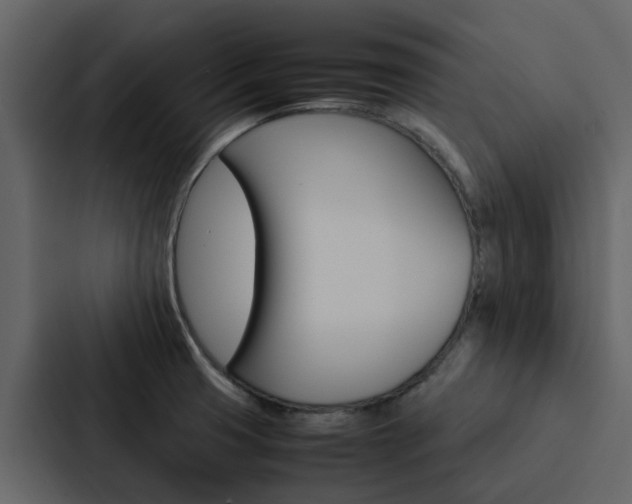 X0000088151425200705141042
