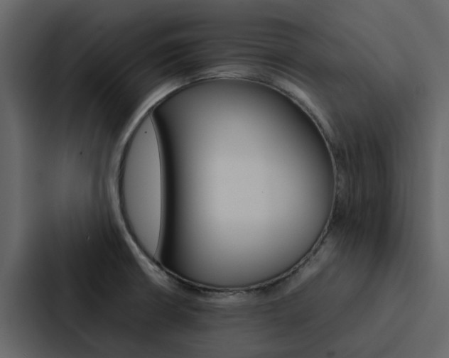 X0000088151426200705141042