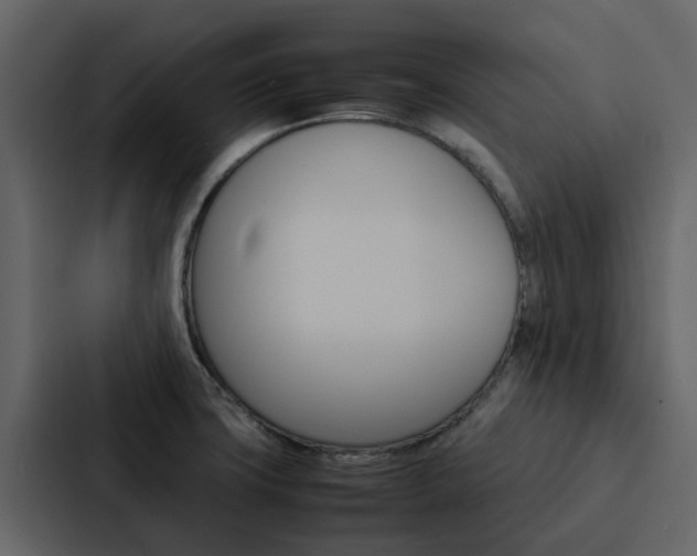 X0000088151427200705141042
