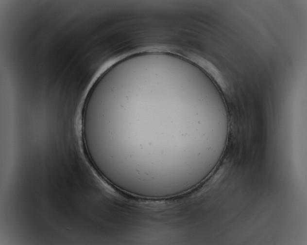 X0000088151428200705141042