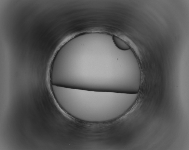 X0000088151429200705141042