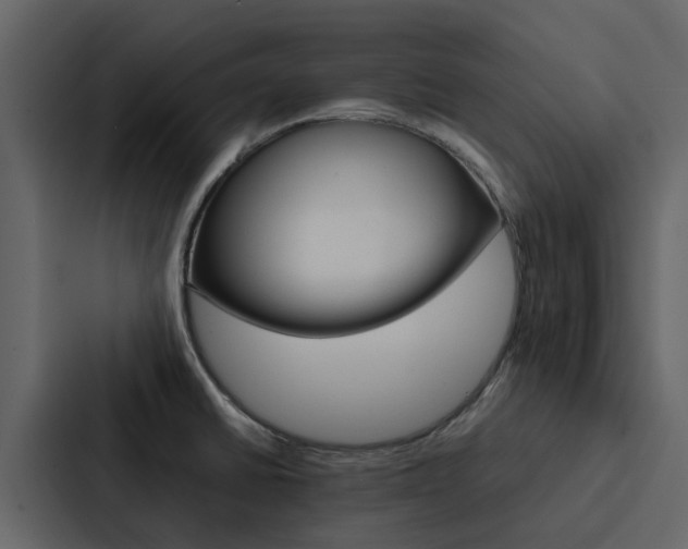 X0000088151430200705141042