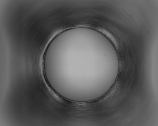 X0000088151431200705141042