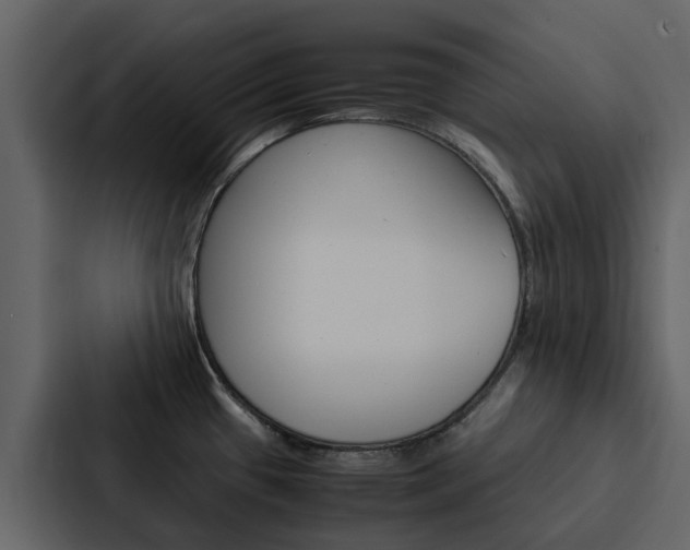 X0000088151433200705141043