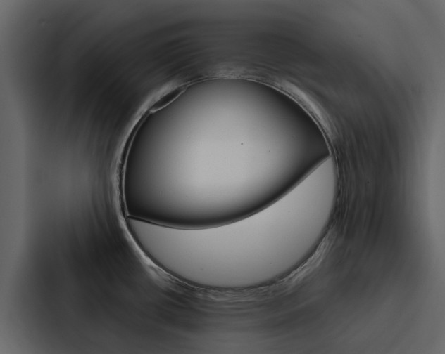 X0000088151434200705141043