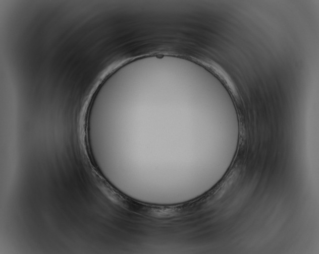 X0000088151435200705141043