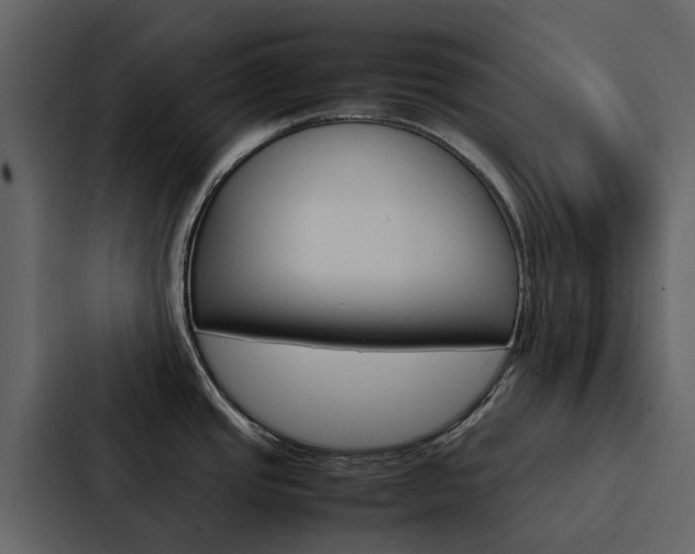 X0000088151437200705141043