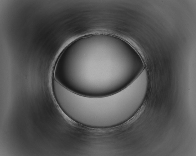 X0000088151438200705141043
