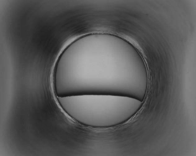 X0000088151440200705141043
