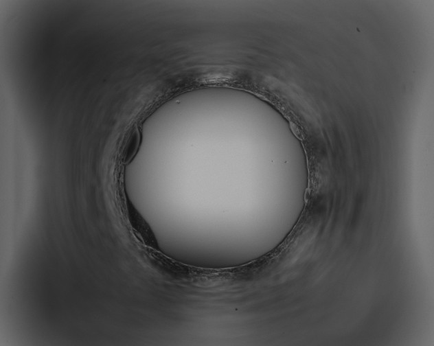 X0000088151441200705141042