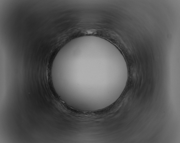 X0000088151442200705141042