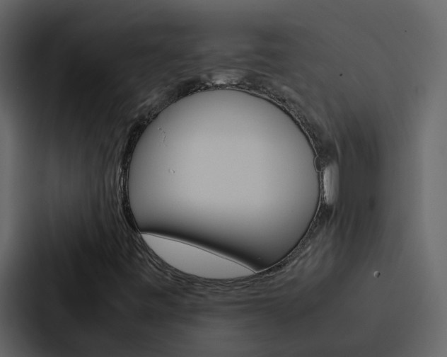 X0000088151443200705141042