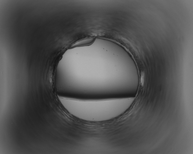 X0000088151444200705141042