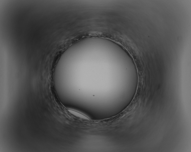 X0000088151445200705141042