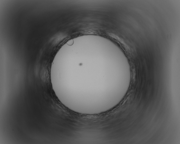X0000088151446200705141042