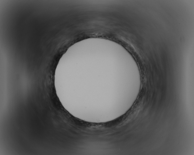 X0000088151447200705141042