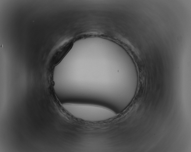X0000088151448200705141042
