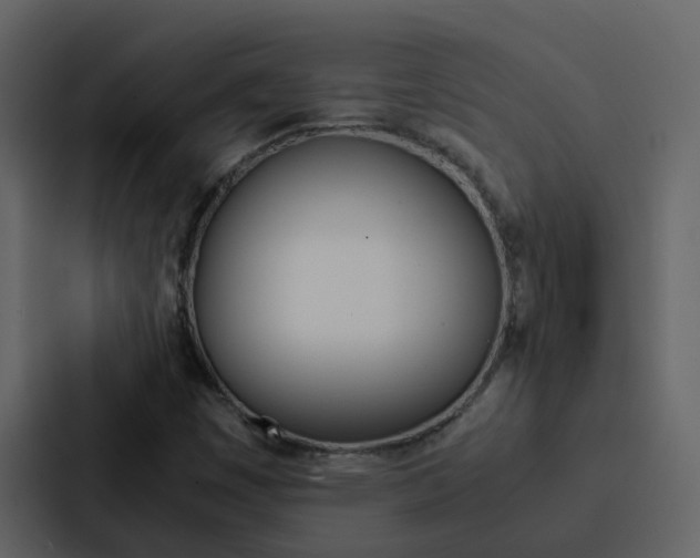 X0000088151449200705141042
