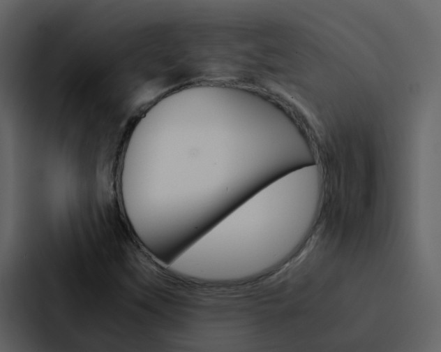X0000088151451200705141042